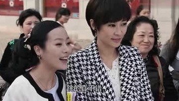 揭秘娱乐圈背后的吃瓜真相:猫咪与法律的暗流涌动