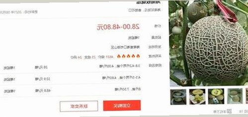 谢娜:娱乐圈的“吃瓜女王”,育儿与公众形象的微妙平衡