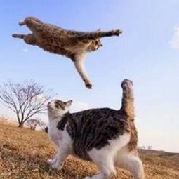 陈卓璇多才多艺开拓影视路,娱乐吃瓜酱背后的故事逐渐清晰