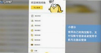 从颜值巅峰到黑料风波：娱乐圈全景解读