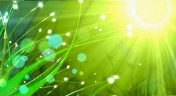 赵丽颖的吃瓜江湖：网红曝光视频背后的那些趣事🍿