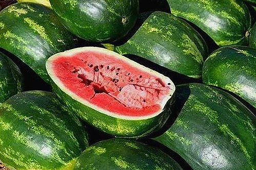 娱乐吃瓜酱：另类人生与背后真相引发热议